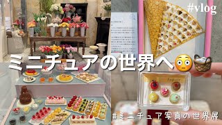 ミニチュア写真の世界展へ行ってきた！ミニチュアってなんでこんなにときめくんだろう♥【vlog】 [upl. by Korwun]