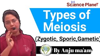 Types of Meiosis Zygotic SporicGametic By Anju maam  scienceplanetbiology [upl. by Saxon188]