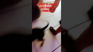 Sera que o cachorto agora ta inteligente ta lendo kkkkk cachorro [upl. by Eberhart]