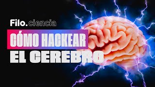 Cómo HACKEAR al CEREBRO Así podés MANIPULAR LA MENTE  Filociencia [upl. by Snilloc]