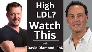 High Cholesterol is Healthy with David Diamond PhD [upl. by Osicran]