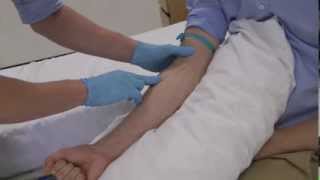 How to select the best vein for clinical skills cannulation and venepuncture [upl. by Hanson728]