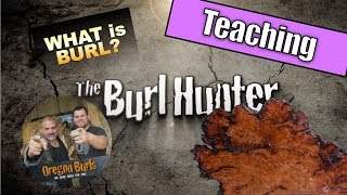 What is a Burl OregonBurlscom [upl. by Khalin875]