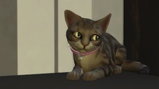 Cats amp Dogs  Sims 4 Part 19 [upl. by Etterrag]