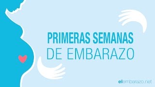 Primeras semanas de embarazo  El embarazo semana a semana [upl. by Hulbard374]