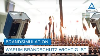 Brandsimulation  Warum Brandschutz so wichtig ist [upl. by Adeirf]