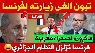 تبون يعلن قراره بعد دعم فرنسا لمغربية الصحراء  ماذا سيكون رد الجزائر؟ [upl. by Amol]