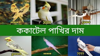 ককাটেল পাখির দাম  Cockatiel Bird Price In Bangladesh and India [upl. by Wawro543]