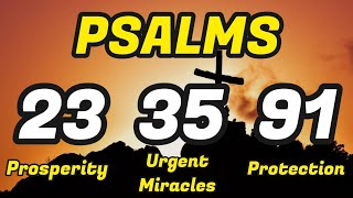 Psalms 233591 THE ESSENTIAL PSALMS FOR ABUNDANCE BREAKING SPELLS AND PROTECTION [upl. by Matejka]