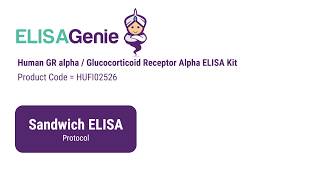 Human GR alpha  Glucocorticoid Receptor Alpha ELISA Kit SKU HUFI02526 [upl. by Aicert]