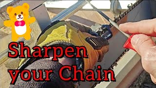 Sharpen your chain with ease chainsaw husqvarna woodworking [upl. by Littlejohn931]