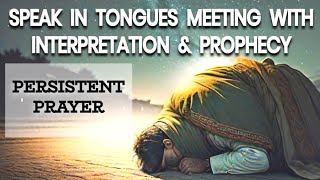 Prayer amp Interpretation of Tongues Prophecy PERSISTENT PRAYER [upl. by Pavia544]