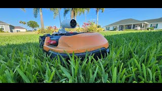 TEST 2 LandroidLive Worx Robotic Lawn Mower cuts the lawn LIVE [upl. by Lenhart283]