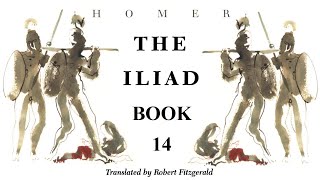 The Iliad  Book 14  Full Audiobook [upl. by Droflim]