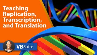 Teaching Replication Transcription and Translation  Visible Body [upl. by Reyem835]