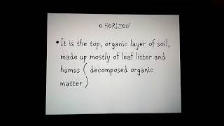 SOIL PROFILE detailed presentation [upl. by Ecnerwaled]