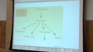 Nitrogen Metabolism by Kevin Ahern Part 1 of 7 [upl. by Zsuedat]