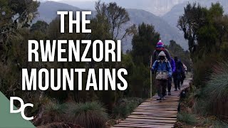 The Beautiful Lives Of The Rwenzori Mountains  Mountains And Life  Full HD  Documentary Central [upl. by Maurer742]