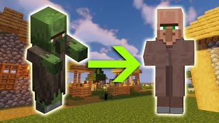 Minecraft  Zombie Villager Converter in a Minute 119  shorts [upl. by Mcclenaghan]