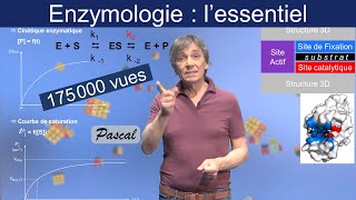 Enzymologie  lessentiel de ce quil faut en savoir [upl. by Yhprum]