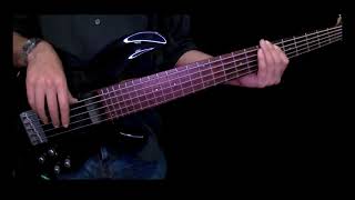 Riana Nel  Weier Bass Cover [upl. by Waddle]