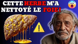 Comment 1 Tasse par Jour a Nettoyé Mon Foie Gras Tu Dois lEssayer [upl. by Notlem87]