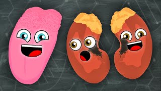 Kidneys and Tongues Everyone  KLT Anatomy [upl. by Dannie521]