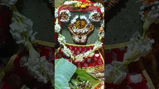 Budhei Osha  ପ୍ରଥମ ପାଳି ବୁଧେଇ ଓଷା ସ୍ଥାପନ  Budheiosha maa trending budheiosha shorts puja [upl. by Skippy61]