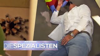 Schwindel Dauererektion Ein gefährlicher Spinnenbiss  Auf Streife  Die Spezialisten  SAT1 TV [upl. by Ahsyat]