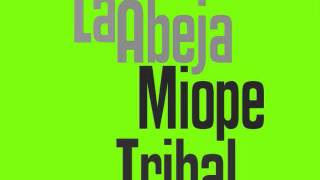 Abeja Miope Tribal MiXX [upl. by Littell479]