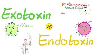 Exotoxins vs Endotoxins  Microbiology 🧫 amp Infectious Diseases 🦠 [upl. by Hennessy]