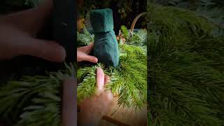 DIY Real Mini Christmas Tree [upl. by Apfel]