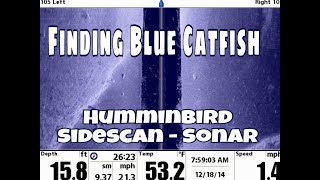 Finding Blue Catfish on Sonar with Catfish Guide Michael Littlejohn Lake Tawakoni [upl. by Siuraj]