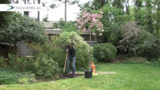 Sierkers planten in de tuin  Tuinierennl [upl. by Babbette]