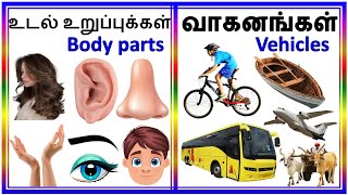 உடல் உறுப்புகள் மற்றும் வாகனங்களின் பெயர்கள் தமிழில்Names of Body Parts and Vehicles in Tamil [upl. by Thin]