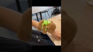 Capybara Watch ⌚ toys viral plushtoy capybara shorts [upl. by Aniarrol]