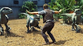 Raptors Training Scene  Jurassic World 2015 Movie Clip HD [upl. by Firooc]