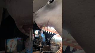 Stern Pinball and Jaws Stern Pinball Room WJaws sdcc sdcc2024 sternpinball jaws [upl. by Edelson]