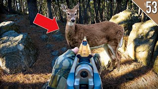 STALKING DEER with a Muzzleloader Late Season Deer Hunting [upl. by Dorita]