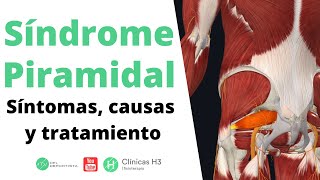 Síndrome piramidal dolor ingle ✅Tratamiento síndrome piramidal  Clínicas H3 [upl. by Cerys]