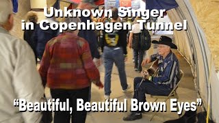 Beautiful Brown Eyes 1951 Country Song at 2015 Norsk Hostfest [upl. by Ticon]