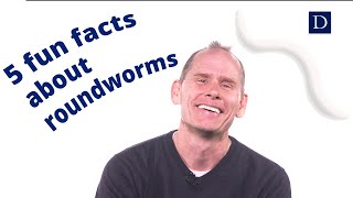 5 Fun Facts about Roundworms [upl. by Yrrehs223]