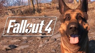 Fallout 4  Behind The Scenes with Dogmeat [upl. by Gora411]