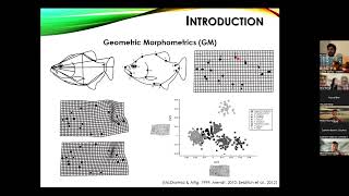 BioacousTalks The shape of sound SoundShape R package by Dr Pedro Rocha [upl. by Northington]