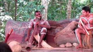 Aboriginal Dance  Kuranda QLD [upl. by Nwahsuq]