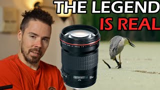 The Most Versatile Lens Ever Made Portraits Wildlife and More Legendary Canon EF 135mm f2 Review [upl. by Pitts525]