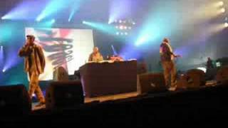 Vibronics  live dour festival [upl. by Laurence46]