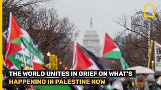 PROPALESTINE PROTESTS THE WORLD IS UNITED IN ITS DEVASTATION ON WHATS HAPPENING IN PALESTINE [upl. by Hagan]