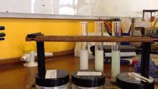 AQA Required Practical  identifying ions Test for Halide Ions [upl. by Terry]