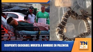 Serpiente cascabel muerde a hombre en Palencia [upl. by Erodeht]